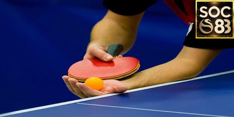 Lý Do Chọn Cá Cược Bóng Bàn Online Tại SOC88