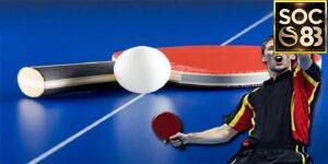 Lý Do Chọn Cá Cược Bóng Bàn SOC88