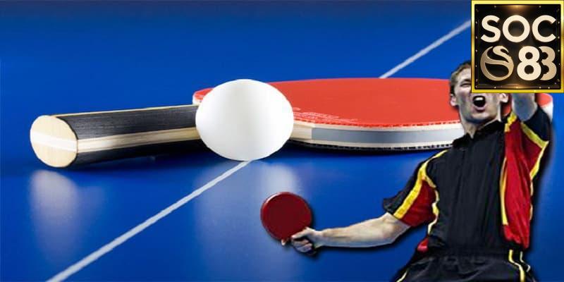 Lý Do Chọn Cá Cược Bóng Bàn SOC88