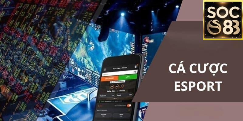 Cá Cược Esport Cùng Soc88 Là Gì