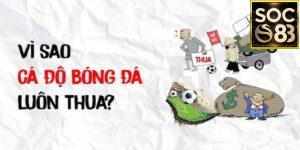 Nguyên nhân tại sao cá độ bóng đá luôn thua