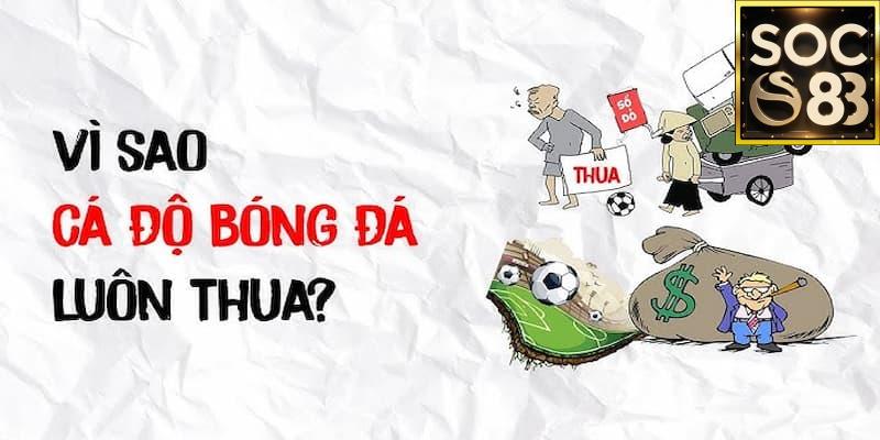 Nguyên nhân tại sao cá độ bóng đá luôn thua